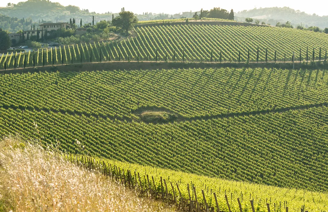 Wine Resort Dievole (Adults Only)-1